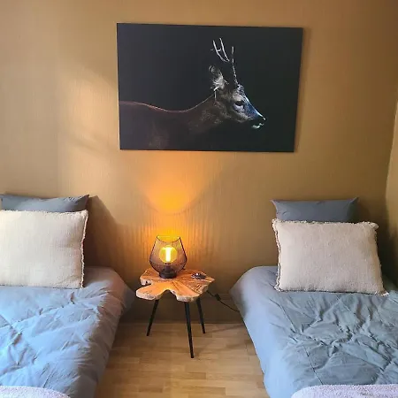 Cosy Au Centre D'epinal - 4 Pers, Jardin, Parking, Proche Activites - Fr-1-589-483 Lejlighed Épinal
